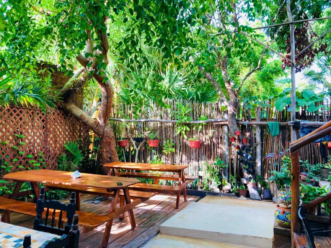 Hostal Holbox Bagian luar foto
