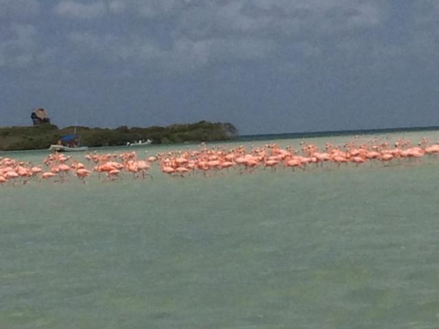 Hostal Holbox Bagian luar foto