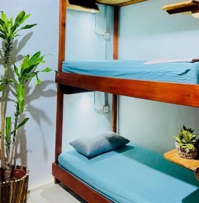 Hostal Holbox Bagian luar foto